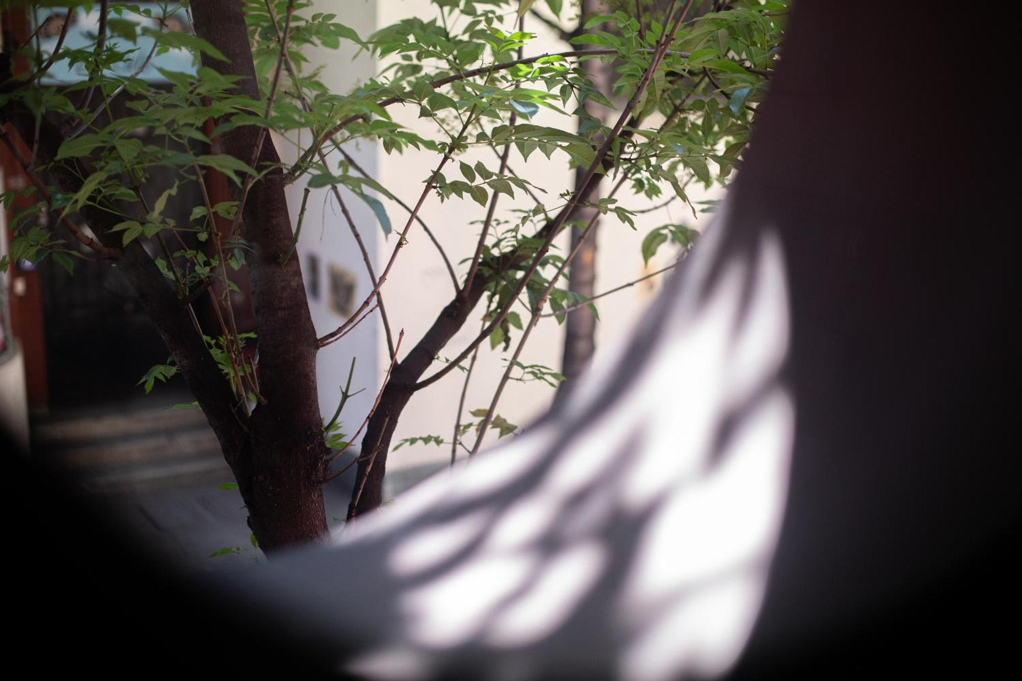 El Consuelo Hotel Oaxaca Kültér fotó